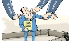 打擊環(huán)境犯罪成重點 中天恒遠全方位發(fā)展理念與體系助力環(huán)保 打擊環(huán)境犯罪成重點 中天恒遠全方位發(fā)展理念與體系助力環(huán)保